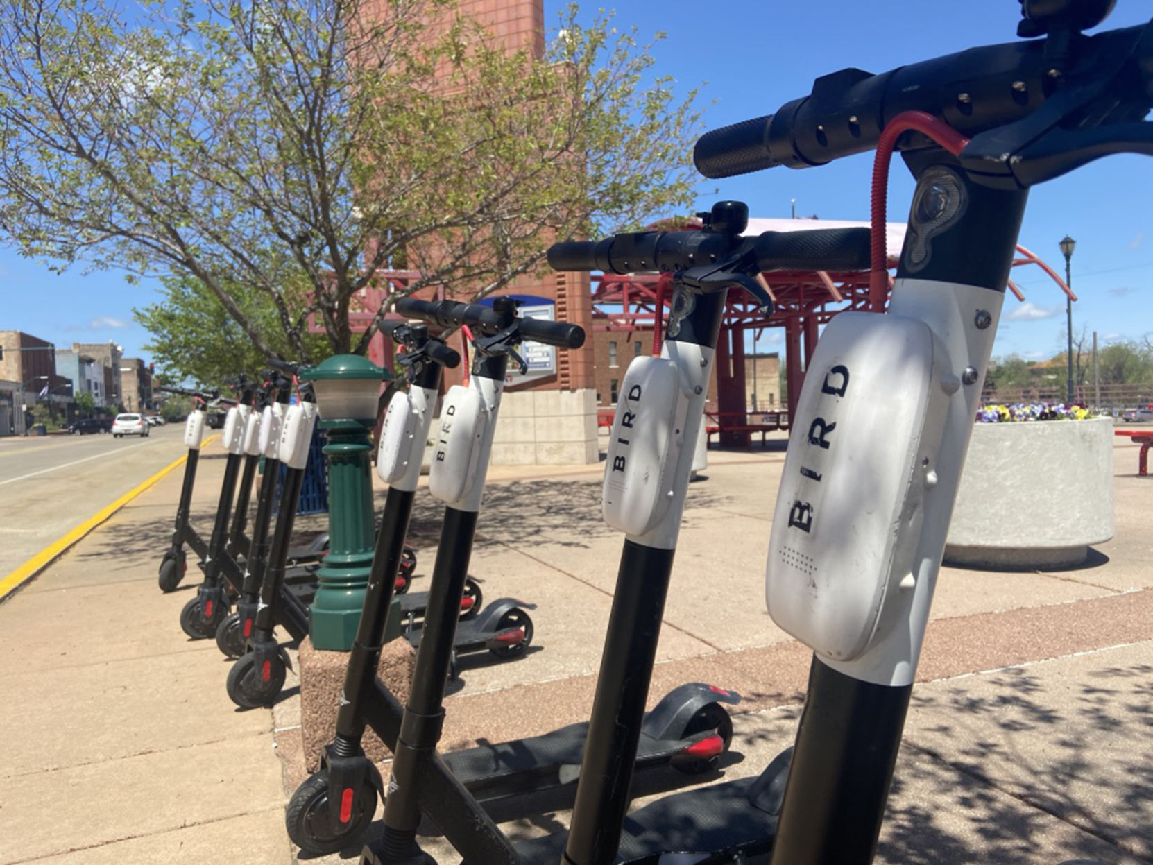 Bird electric scooters e-scooters